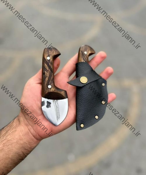 تیزی استاد رضا پروانه