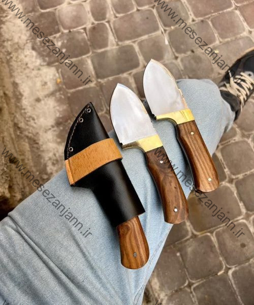 تیزی استاد رضایی