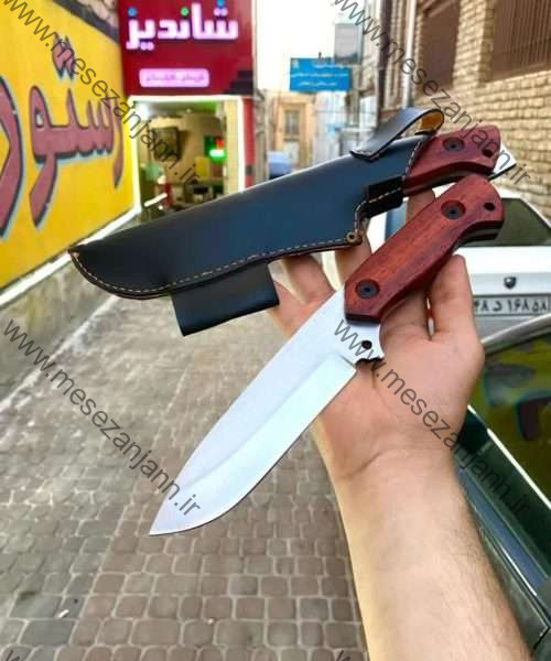 بوشکرفت حرفه ای