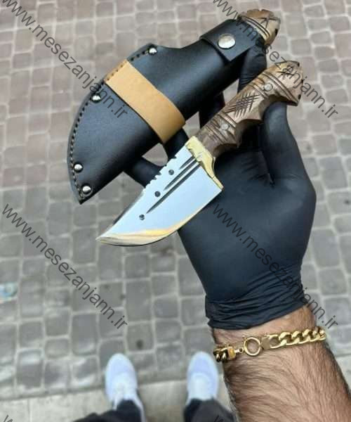 تیزی استاد تاران