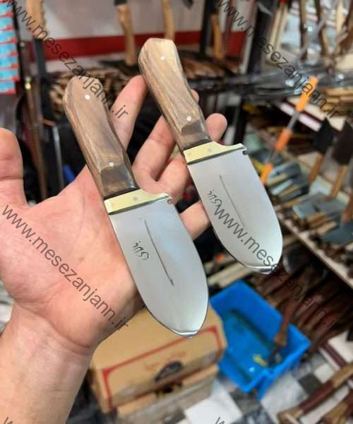 تیزی استاد اسدی