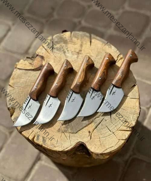 تیزی خنجری سعید