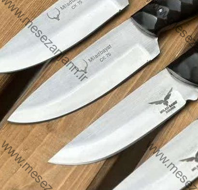 بوشکرفت ایران نایف