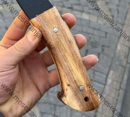 تبر استاد صفری