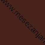 فروش بوشکرفت