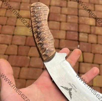 کوکری ایران نایف