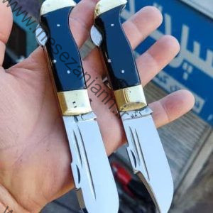 چاقوی پشت ضامن احمدلو