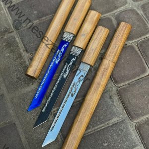 تانتو مخفی استاد داداشی