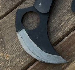 کارامبیت اسکلتی