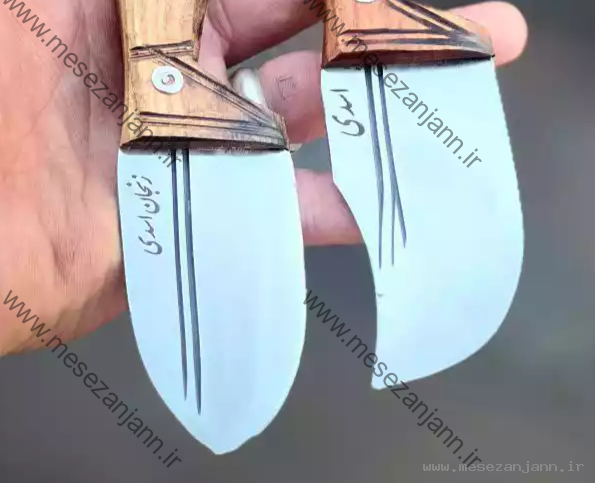 تیزی فولادی اسدی