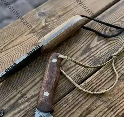 بوشکرفت شارک