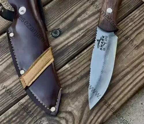 بوشکرفت شارک