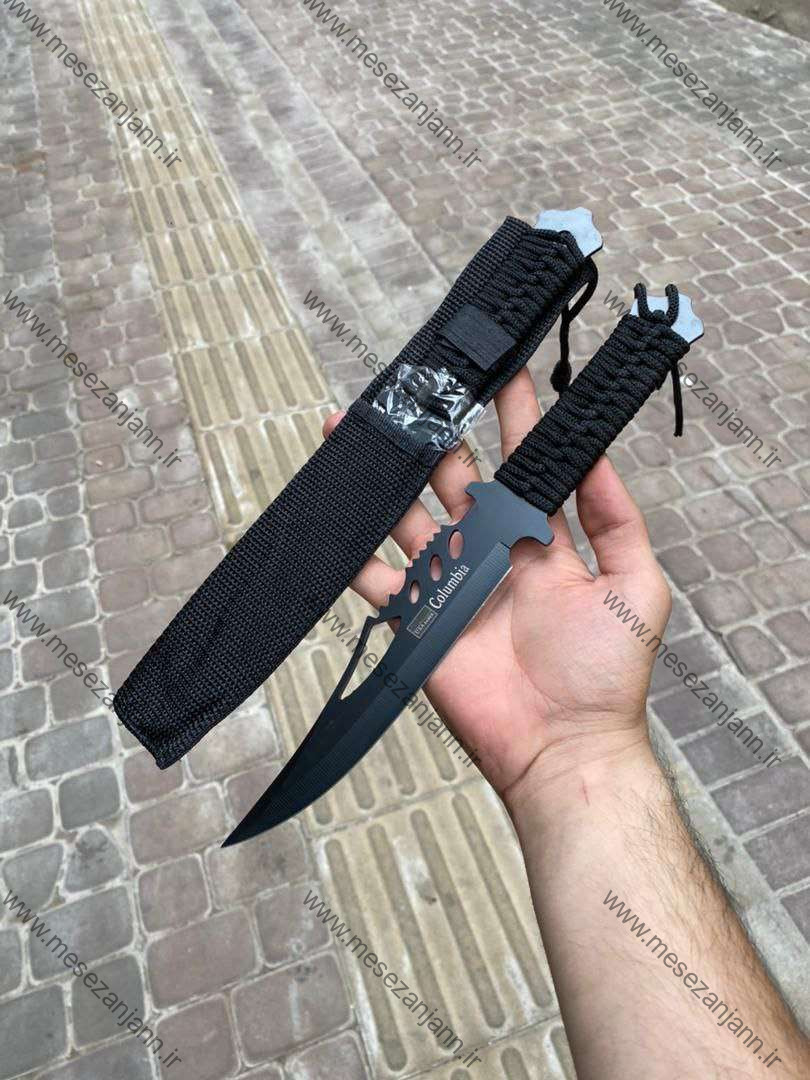 پرتابی کلمبیا 1 پرتابی کلمبیا