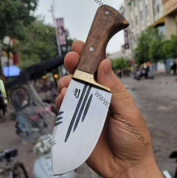 تیزی خلفی 1 تیزی خلفی