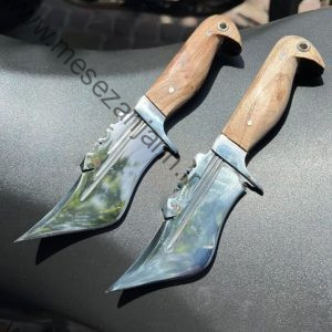 تیزی گنجشکی