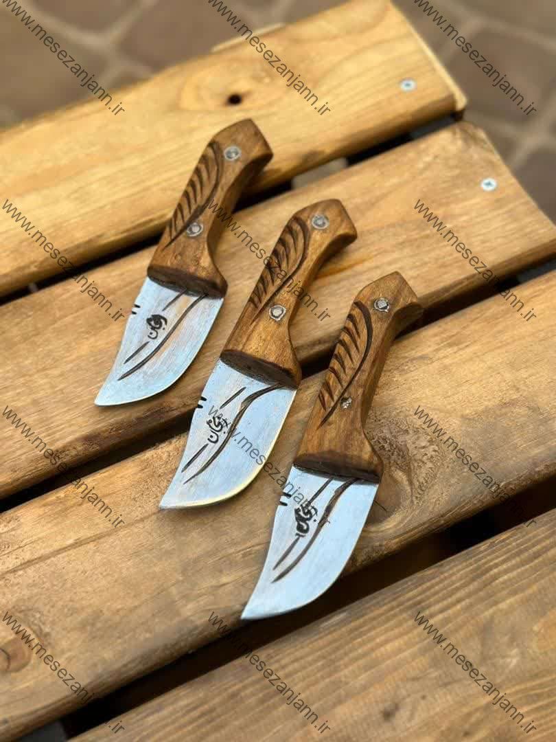 تیزی سید 1 تیزی سید