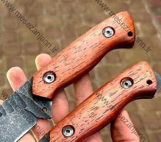 بوشکرفت زنبوری 2 بوشکرفت زنبوری