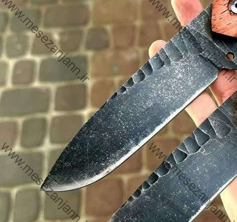 بوشکرفت زنبوری 3 بوشکرفت زنبوری