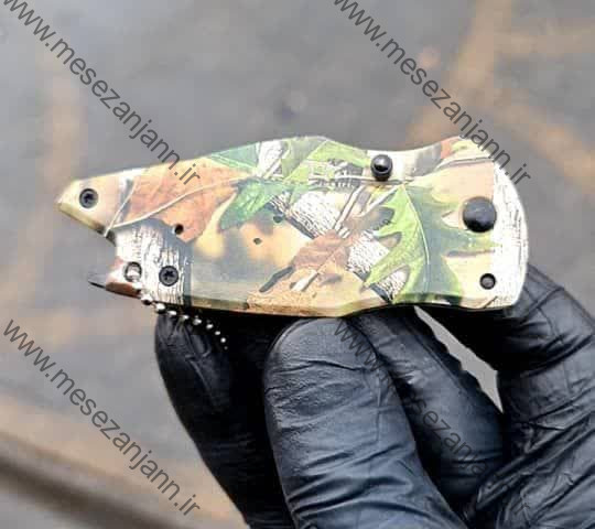 چاقوی جیبی باک فانتزی 3 چاقوی جیبی باک فانتزی