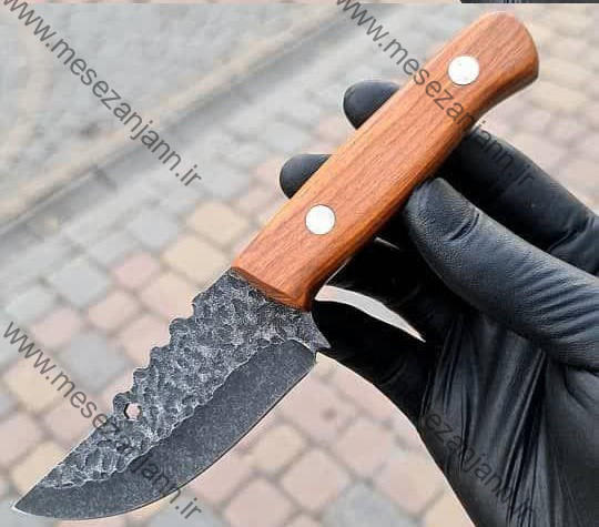 بوشکرفت منفرد 1 بوشکرفت منفرد