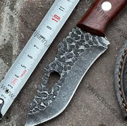 بوشکرفت BS-01 3 بوشکرفت BS-01