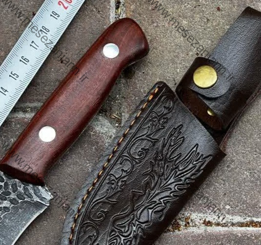 بوشکرفت BS-01 2 بوشکرفت BS-01