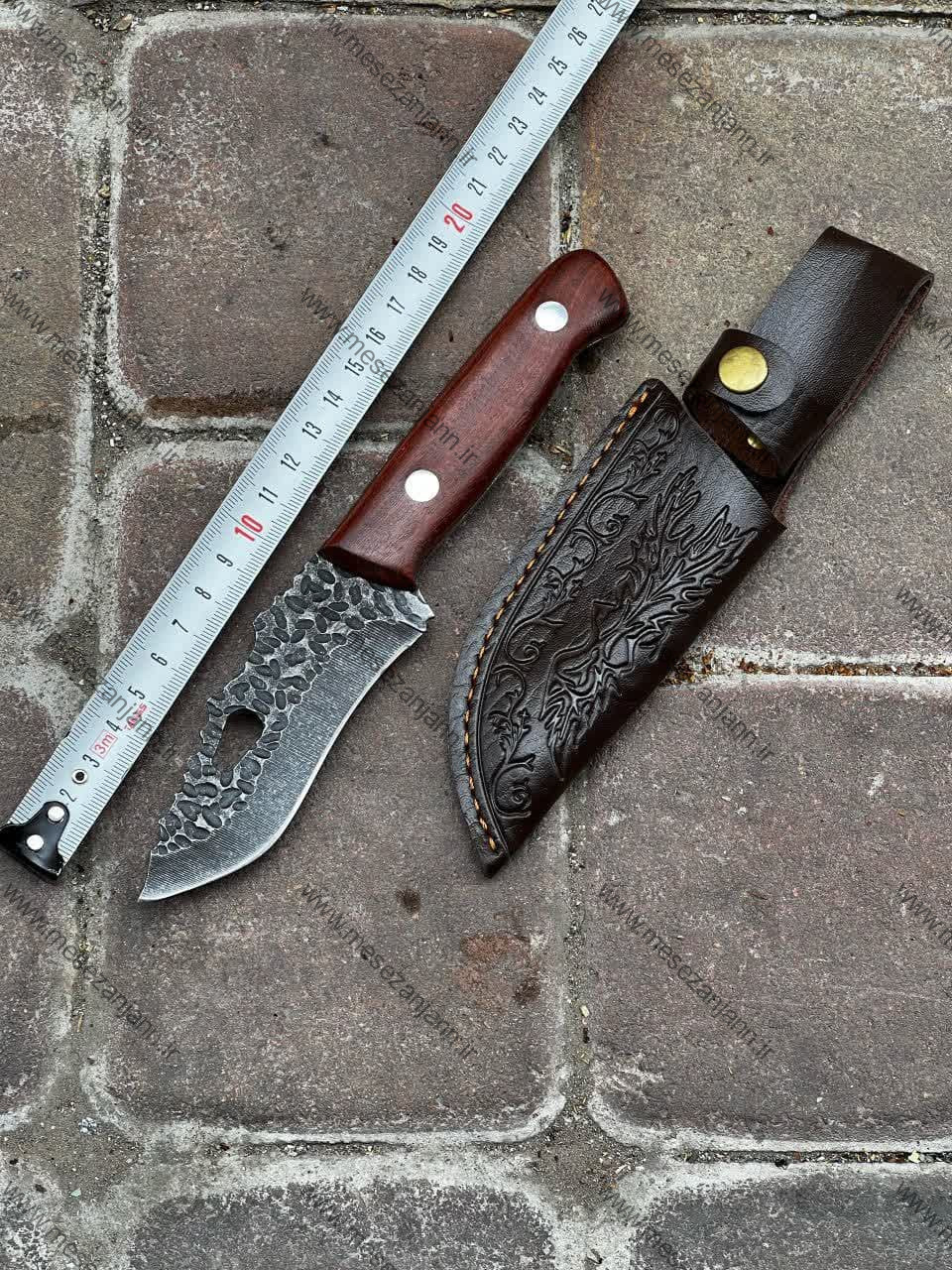 بوشکرفت BS-01 1 بوشکرفت BS-01