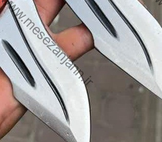 تیزی TZ-103 2 تیزی TZ-103