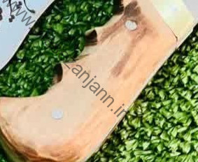 تیزی TZ-120 2 تیزی TZ-120