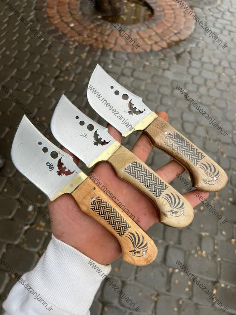 تیزی شاهین 1 تیزی شاهین