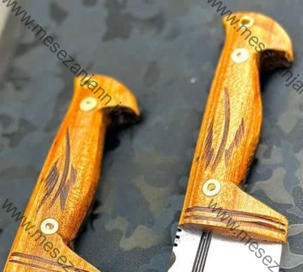 تیزی TZ-309 2 تیزی TZ-309