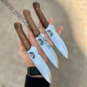 بوشکرافت KZ-30