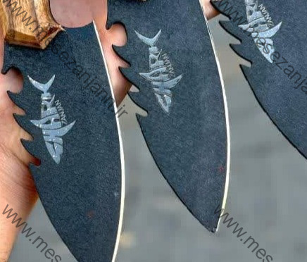 تیزی TZ-316 2 تیزی TZ-316