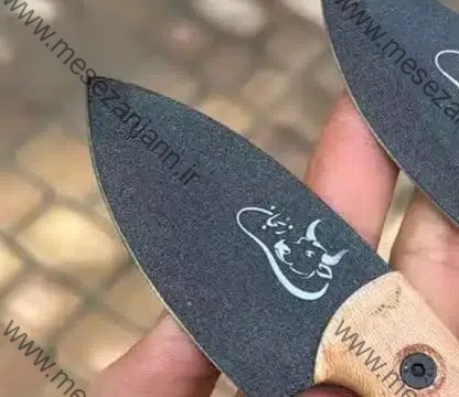 تیزی برنا 2 تیزی برنا