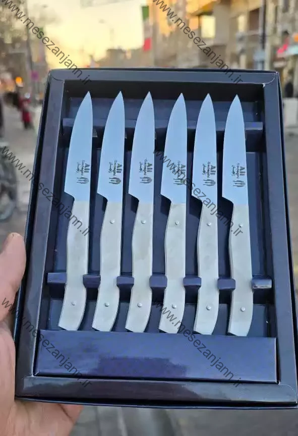 ست 6 عددی چاقوی میوه خوری لوکس 1 ست 6 عددی چاقوی میوه خوری لوکس