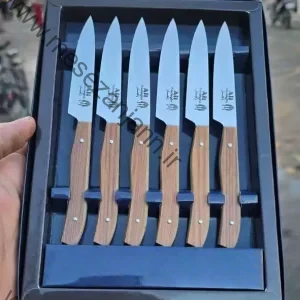 ست 6 عددی چاقوی میوه خوری یونیک