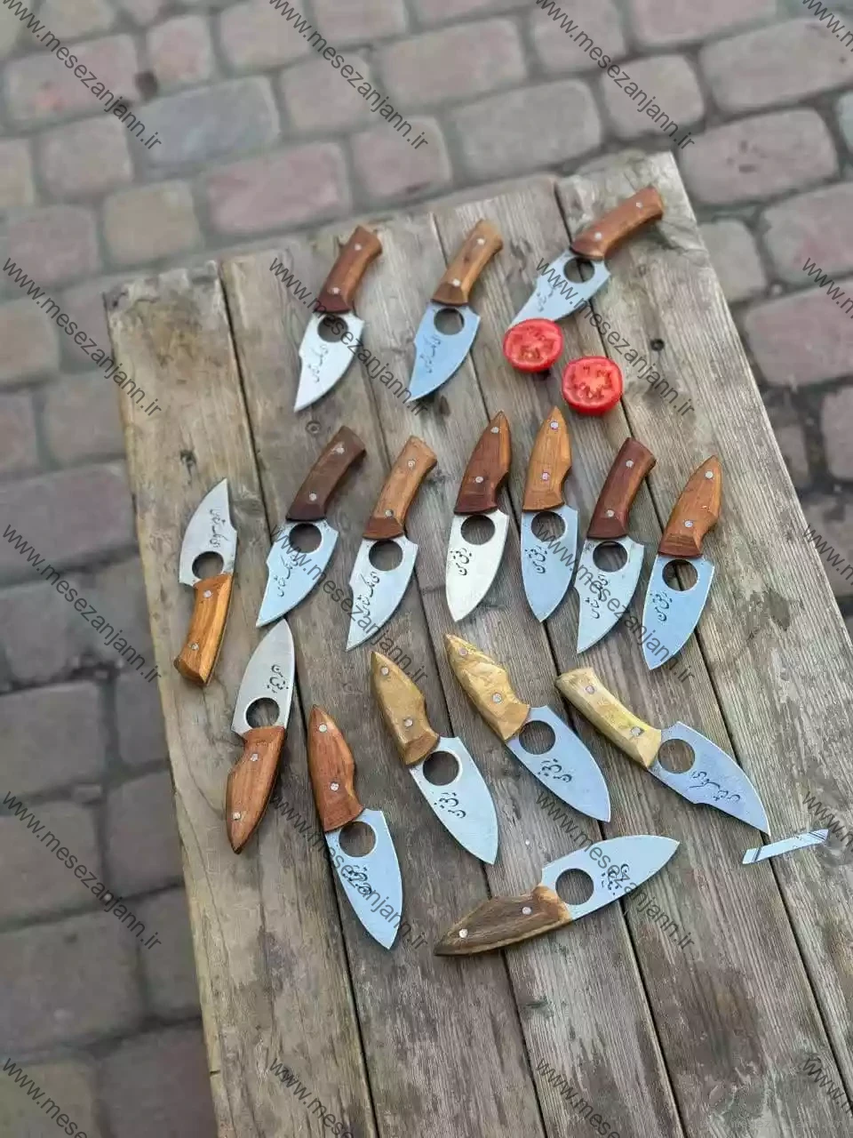 تیزی حلقه دار 1 تیزی حلقه دار