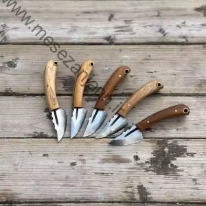 تیزی زندانی