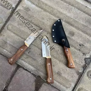 تیزی استاد رستمی