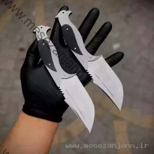 تیزی کمری پرستو