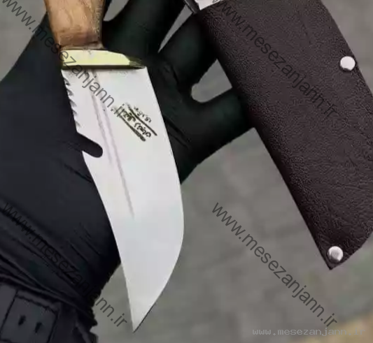 تیزی فولادیس 3 تیزی فولادیس