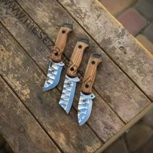 تیزی زنبوری