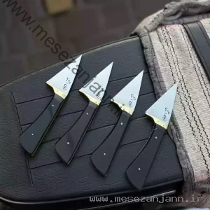 تیزی شیرازی