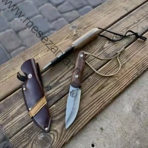 بوشکرفت شارک