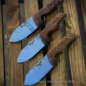 تیزی اهورا زنجانی