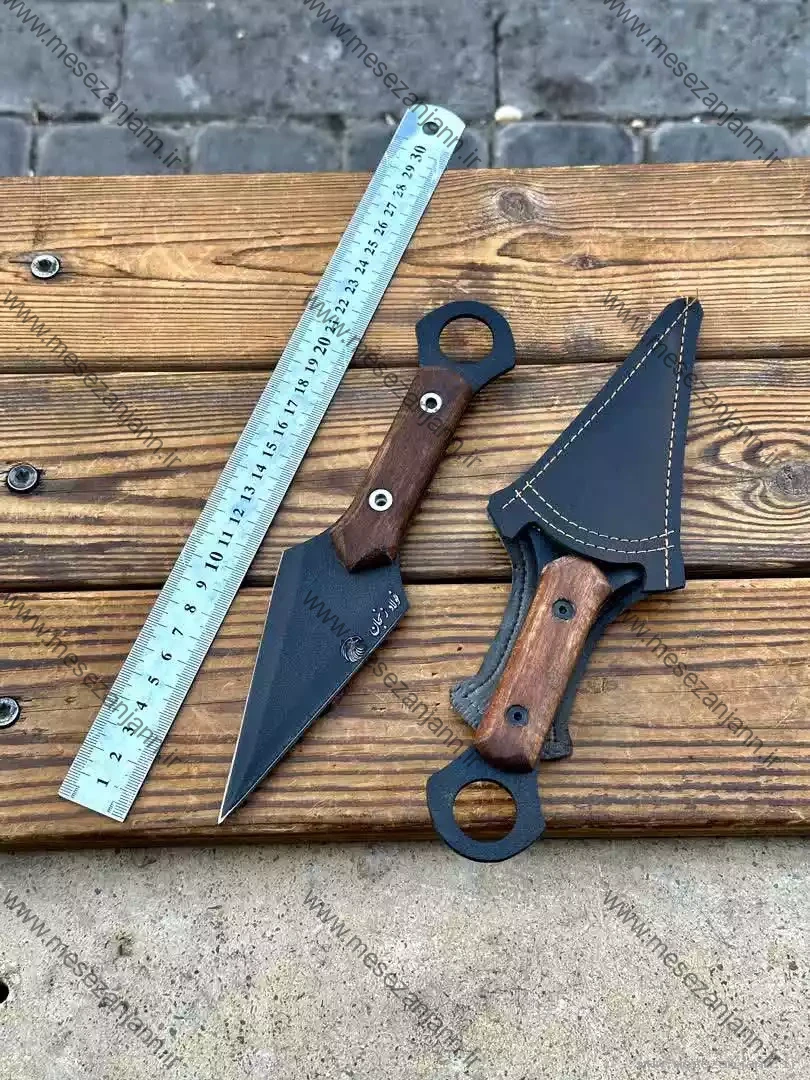 پرتابی نینجا زنجانی 1 پرتابی نینجا زنجانی