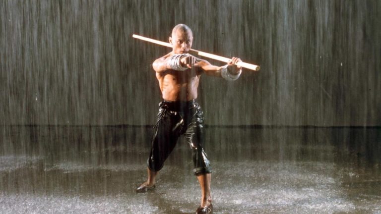 The 36th Chamber of Shaolin