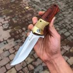 چاقوی باک طلایی