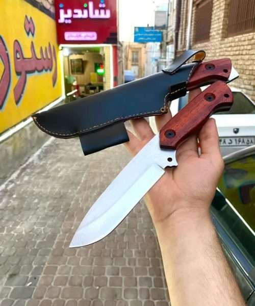 بوشکرفت حرفه ای