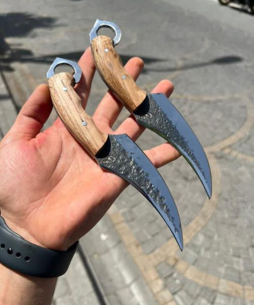 تیزی طرح کارامبیت